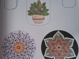 whatsapp bild 2025-12-08 um 10.56.14_dd3d321c